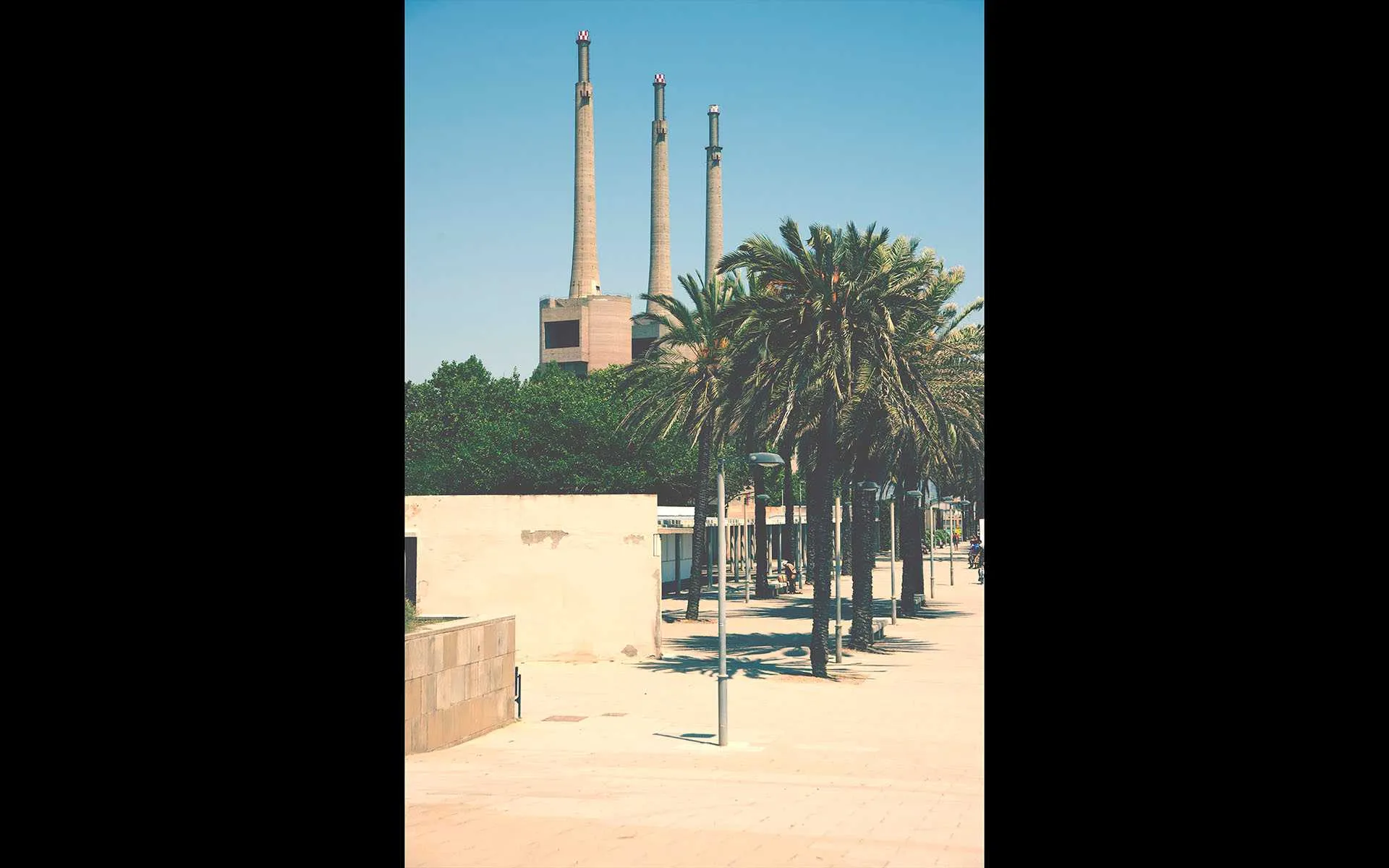 industrial chimneys and palm trees in Barcelona Spain