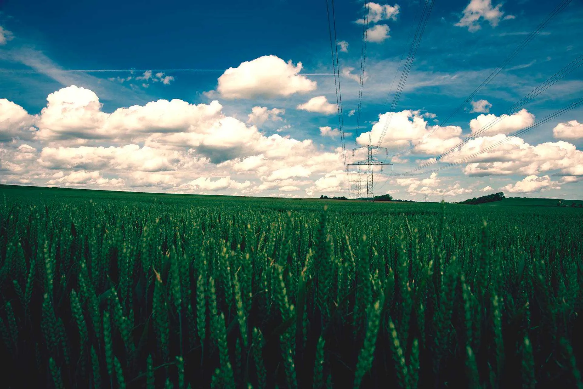 high voltage power lines over green field in Germany
