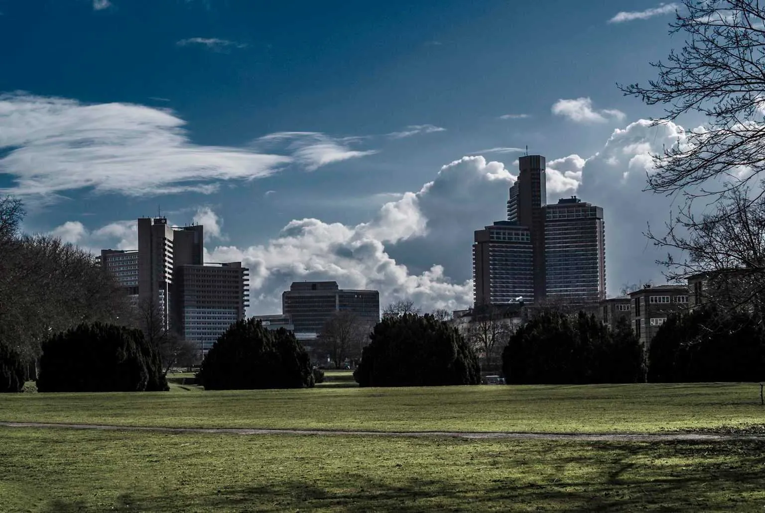 Urban skyline viewed from a park with green lawn, trees, and dramatic clouds behind modern buildings.