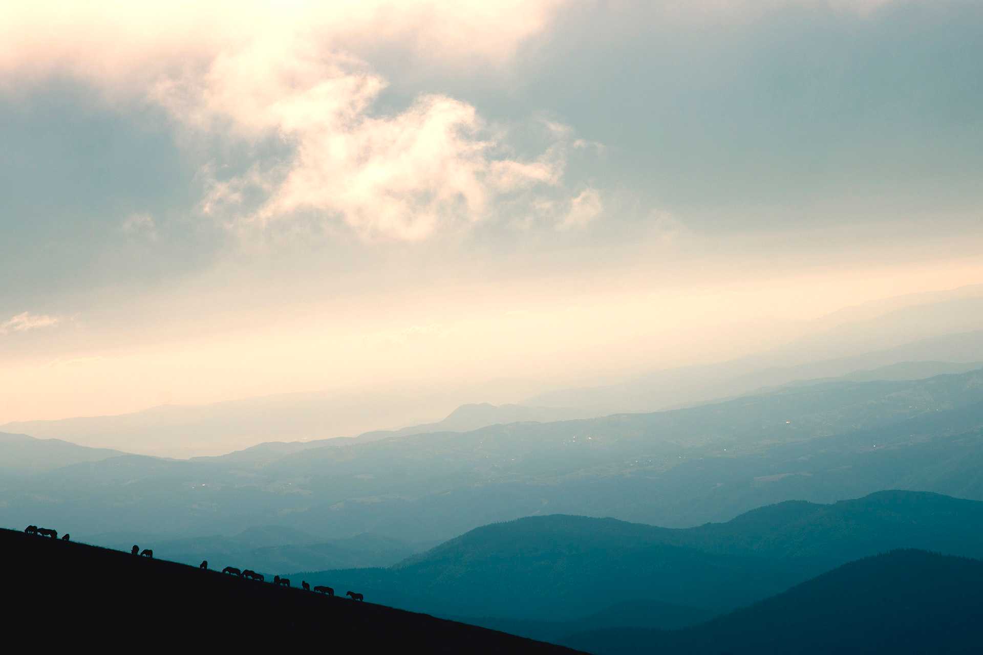 Natural landscapes and wildlife photography