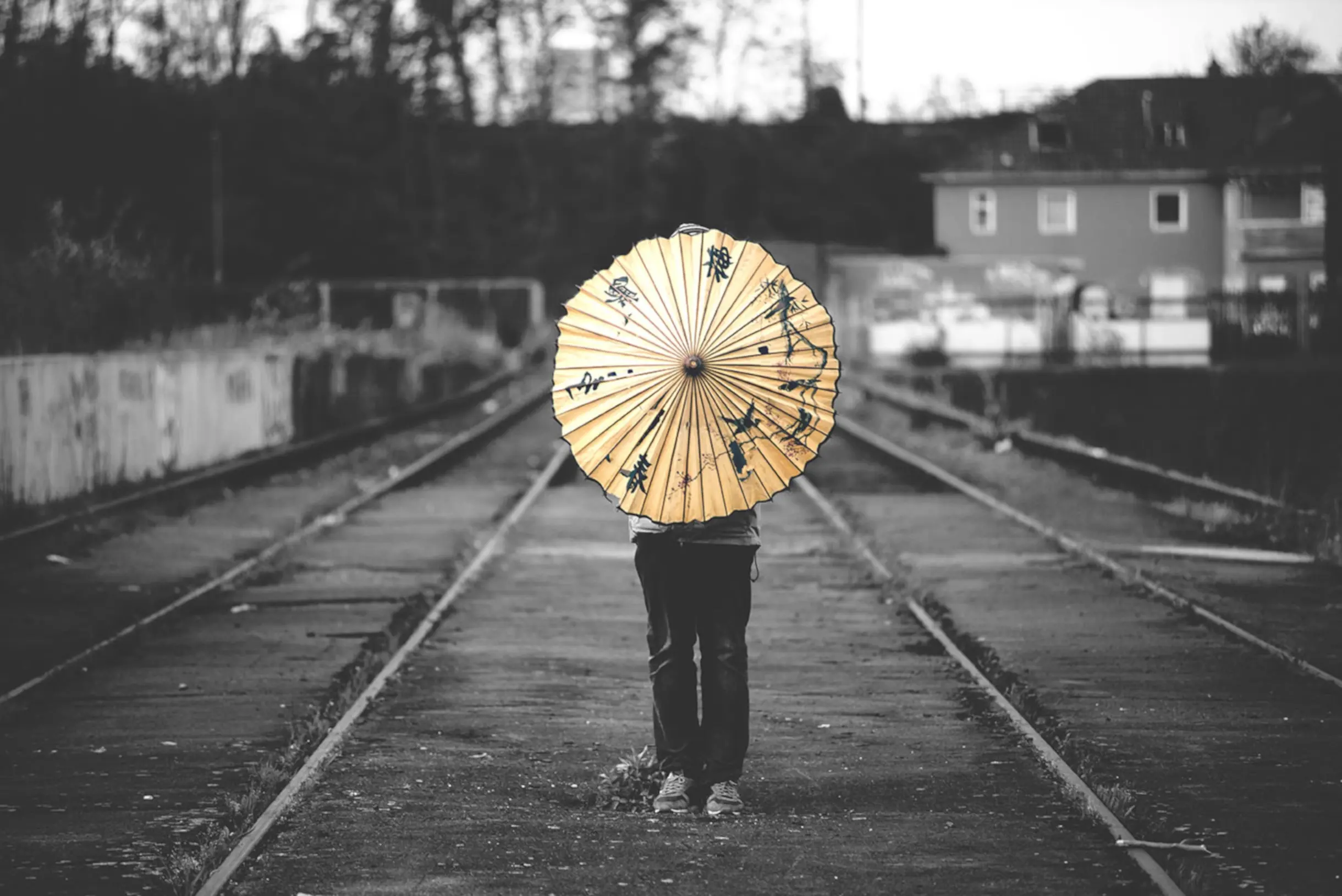 Hero image - photography out of the box